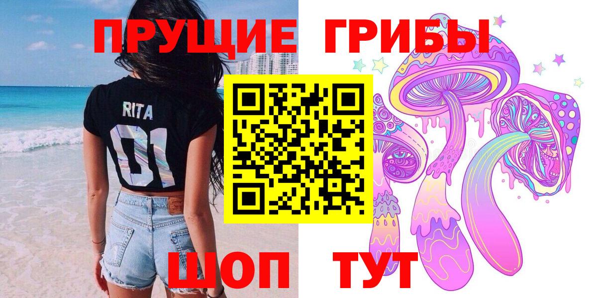 Семёнов  Псилоцибиновые грибы Psilocybine cubensis  закладки  Вход с VPN  Галлюциногенные грибы Psilocybine cubensis 
