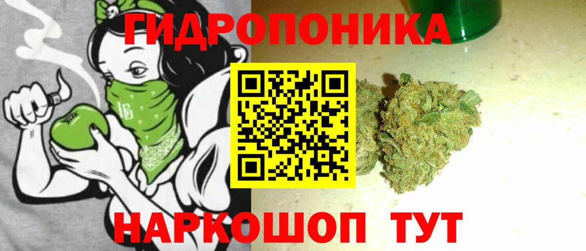 Бошки марихуана семена Семёнов